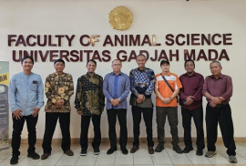 halal slaughter at UGM's Animal Science Faculty
