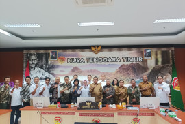 Geothermal development in East Nusa Tenggara
