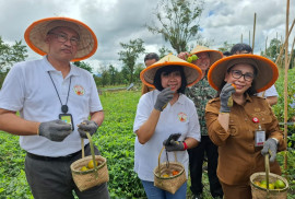 UGM geothermal innovation